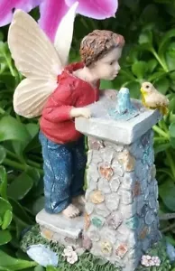 Shane's Stop in the Park visita Birdbath / Bevande WS 2065 giardino delle fate in miniatura - Foto 1 di 6