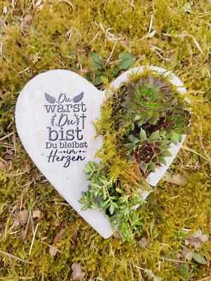 Bepflanztes Herz aus Beton mit Schriftzug Grabschmuck Trauer Grabgesteck - Bild 1 von 2