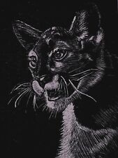 Cat Artwork: Ink On Scratch Board Print