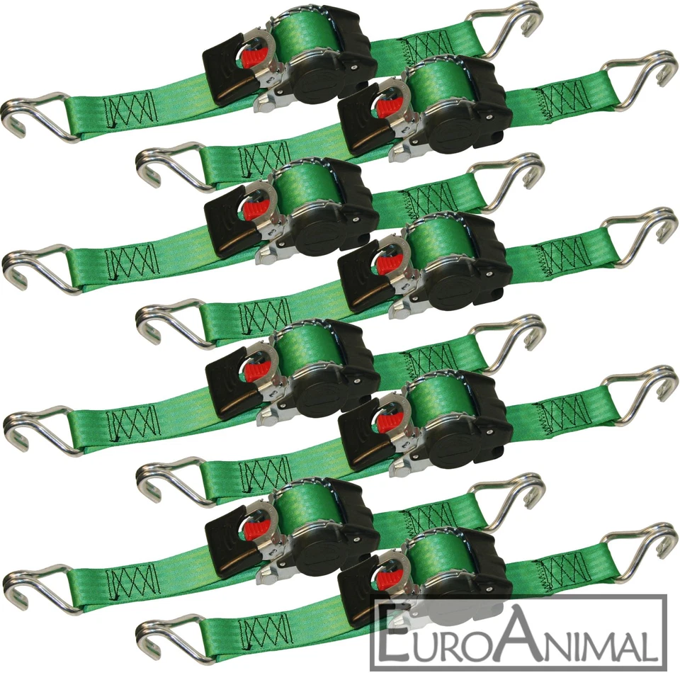 8 Stück automatischer Automatik Zurrgurt 3,0m x 50mm Spanngurt selbstaufrollend - Bild 1 von 1