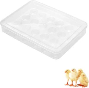 Deviled Egg Containers with Lid, Reusable Egg Tray Box (1 Packs, 24 Eggs)-Incuba - Picture 1 of 12