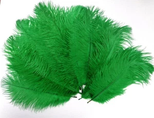 Green Mini Ostrich Feathers 5-8 Inch per 24 - Picture 1 of 2