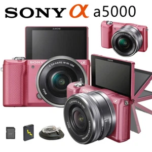 Sony Alpha a5000 PINK 20.1 MP Mirrorless Digital Camera OSS 16-50mm Lens set - Picture 1 of 9