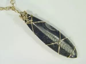 Collar colgante nautiloide Orthoceras relleno de oro 14kt 3975D - Imagen 1 de 3