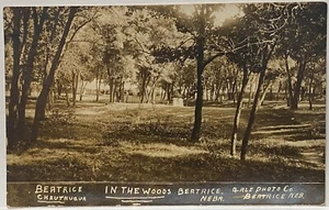 Beatrice NEBRASKA ~ Nel bosco Beatrice Chautauqua ~ cartolina fotografica reale RPPC - Foto 1 di 2