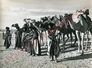 MAROC / photographie J. Belin / Mokhaznis, chameau, desert, costumes / 1940/1950 - Picture 1 of 2
