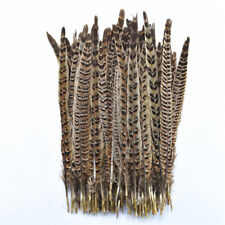 10pcs/lot Natural Dyed Pheasant Tail Feathers 30-35cm/12-14" Wedding Decoration