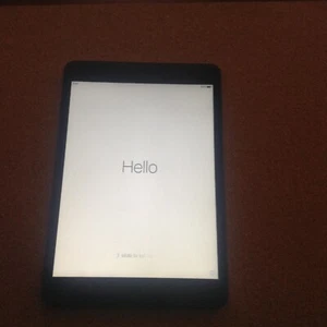 Apple iPad Mini 1st Generation 7.9 Inch Tablet Wifi 16GB Storage Space Grey - Picture 1 of 3