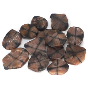 200g Natural Chiastolite Stone Flakes Tumbled Gems Rock Mineral Healing Specimen