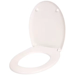 Tavoletta WC Soft Close Chiusura Ammortizzata Universale Copriwater Plastica Mon - Foto 1 di 4