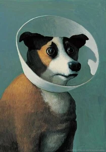 Dog with Cone by Michael Sowa Art Print Farm Animals Funny Poster - Picture 1 of 1