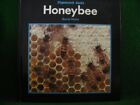 Honeybee (Stopwatch Books), Watts, Barrie