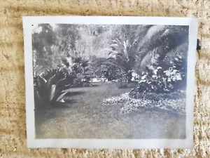 GARDEN OF EDEN,HOTEL EDEN,NAPLES,ITALY,1908.VTG 4.3" x 3.3" PHOTO*SP4 - Picture 1 of 3