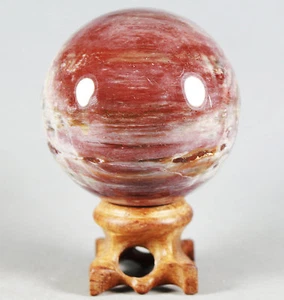 A 265g PETRIFIED WOOD AGATE Crystal With Rose Wood Stand From Madagascar - Picture 1 of 12