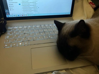 Microsoft Surface Book 13,5" - Surface Tastatur - Ersatzteilträger #638 - Bild 1 von 2