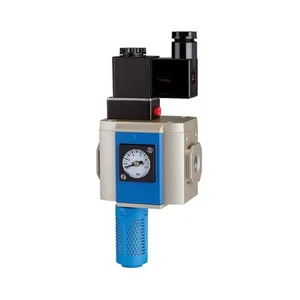 Riegler 116349 3/2-Way Start-Up Valve »G«, 24 V DC, Size 300, G 1/2, GA 13.2 - Picture 1 of 1