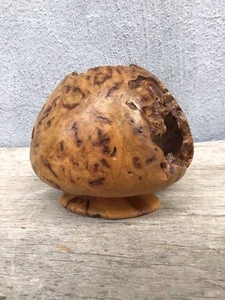 Bergahorn Wurzelholz Live Edge hohle Form handgedrechselt 4,25" Vase Gefäß signiert - Bild 1 von 8
