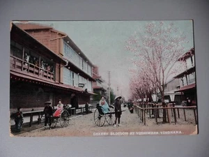 Japan Yokohama Cherry Blossom at Yoshiwara Red Light Quarter Vintage Posted - Picture 1 of 3