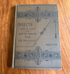 "INSECTS" HOW TO CATCH AND COLLECT BY WALTER MANTON 1881 HC ILLUSTRATED EX - Picture 1 of 5