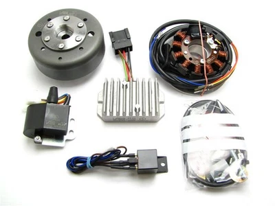 Powerdynamo MZ-B VAPE Ignition StatorSystem for MZ GS w/engine ETZ250 251 301 DC - Image 1 of 4