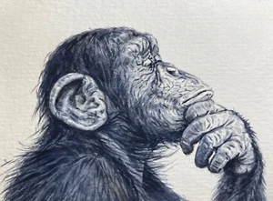 Watercolor Painting Monkey Chimpanzee Art No.164 - Picture 1 of 2