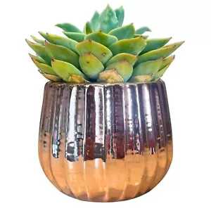 4" Ceramic Flower Planter Ceramic Pot Planter Indoor Ceramic Bowl Houseplant ... - Picture 1 of 7