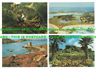 L231753 Tresco. Isles of Scilly. The Gardens. Old Abbey Ruins. F. E. Gibsons. Be