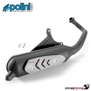Marmitta Polini completa omologata per Gilera Easy Moving 50 2T - Imagen 1 de 5