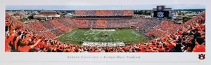 Chris Davis Signed Auto Auburn Football Jordan Hare Panoramic Photo w/War Eagle - Picture 1 of 3