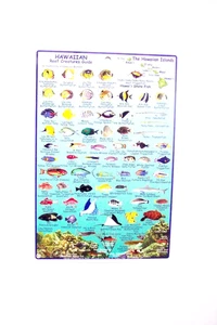 Hawaiian Reef Creatures Guide, The Hawaiian Islands, 70 Common Fish/Reef Animals - Imagen 1 de 2