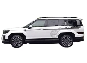 2 PIEZAS Calcomanías gráficas de línea de cintura para Hyundai Santa Fe Racing Sport a rayas - Imagen 1 de 6