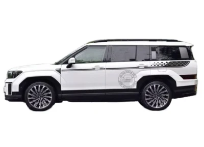 2 PIEZAS Calcomanías gráficas de línea de cintura para Hyundai Santa Fe Racing Sport a rayas Foto 1 de 4