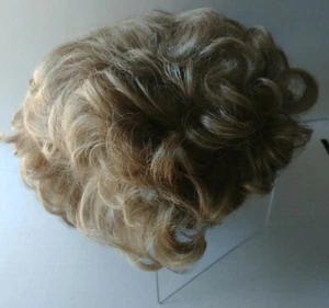 Paula Young Wig Style IVY-AVG Color 24/14 Mocha Frosted Lt Ash Blonde A1142 NEW  - Picture 1 of 9