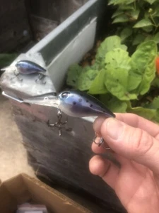 Custom Pre-Rap Style Wart Premium Blank Mountain Trout - Picture 1 of 10