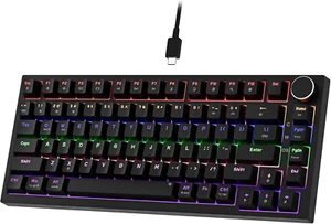 NEWMEN GM326 Mechanische Tastatur, Kabelgebundene Gaming Tastatur, 75% Prozent TKL Hot LED C - Bild 1 von 7