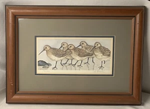 Vintage Grace Feyock Signed Numbered Limited Edition Print Sand Piper 10 X 14 in - Picture 1 of 8