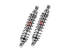 Y0062wme03 Bitubo Pair Of Rear Shock Absorbers Pour Xv 750 1995 1996