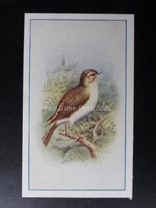 No.7 CHIFFCHAFF - Birds (Series of 25) by P.J. Carroll & Co 1939 - Picture 1 of 1