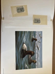 Rob Leslie Numbered signed print Virginia waterfowl 1991 stamp 2 stamps 1 Signed - Picture 1 of 11