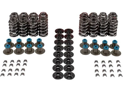 For 2007 GMC Sierra 1500 Classic Engine Valve Spring Kit 75918VNQJ - Image 1 of 2
