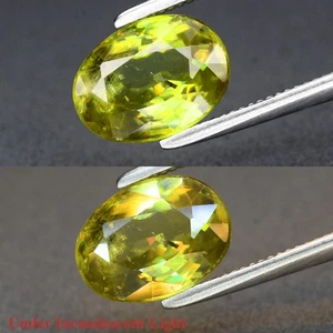💎 1.51ct 8.2x6mm Oval Natural Yellowish Green Sphene - Super Sparkles, Gemstone - Picture 1 of 6