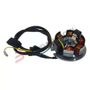 P631968490 STATORE DUCATI energia Beta RK6 50 1993-1996 - Imagen 1 de 1