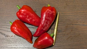 Semillas de pimiento dulce Ajvarski - reliquia balcánica, fruta fragante, de paredes gruesas - Imagen 1 de 5