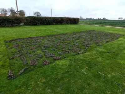 Genuine British Army Woodland Camo Net Camouflage Netting - Various Sizes - Image 1 of 4