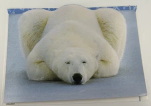Polar Bear Blank Greeting Card EDF Norbert Rosing National Geographic - Picture 1 of 5