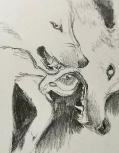 ACEO original graphite drawing 2.5"x3.5", signed. #2 Wolves. Artist: Misori - Picture 1 of 4