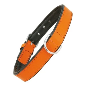 Hundehalsband Gloria Polsterung 45cm Orange (45 x 2 cm) - Bild 1 von 7