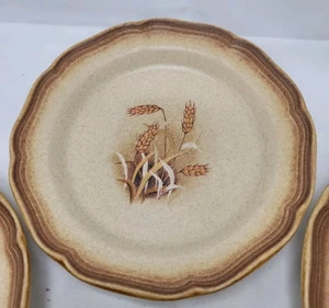 Mikasa Whole Wheat Granola Salad Plates 8 Inches #E8001 Stoneware Set of 4 - Picture 1 of 9