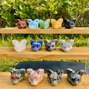 1pc Natural Mixed Crystal Quartz carved cat skull reiki healing Random decoratio - Picture 1 of 9