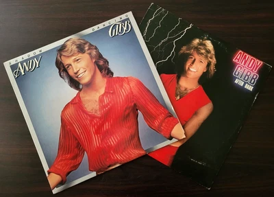 Andy Gibb - Shadow Dancing + After Dark - Pop Rock Disco VG+ 2LP Vinyl Rec Set — 第 1/4 张图片
